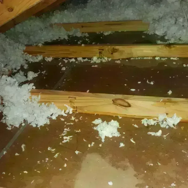 Attic Water Damage in Pine Level, AL