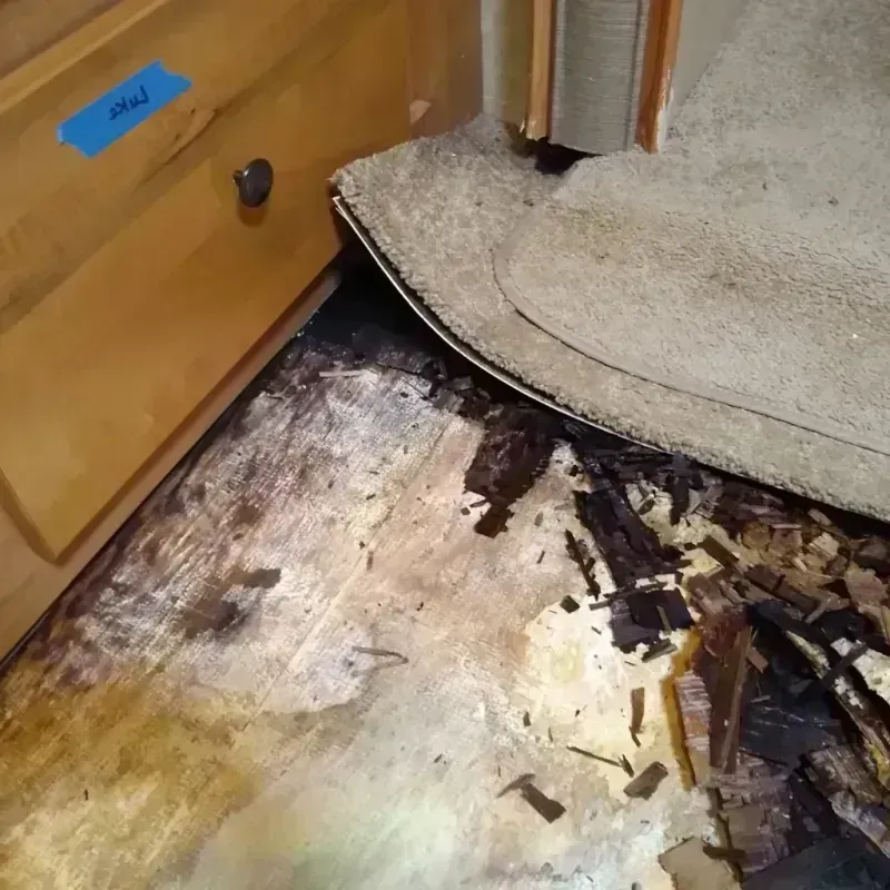 Best Wood Floor Water Damage Service in Pine Level, AL